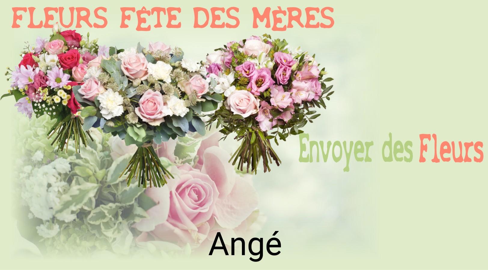 Bouquet de Fête des Mères livré à Angé